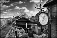 a black and white photo of a clock in a garden